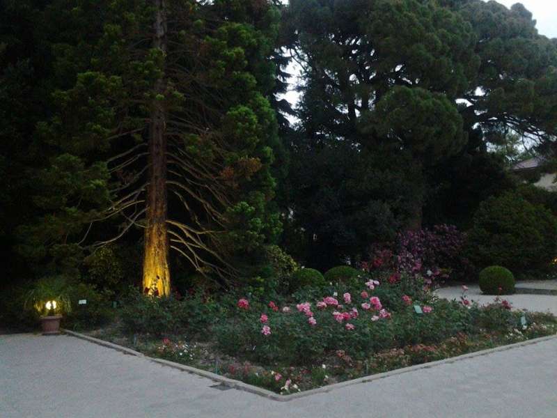 Вечерний Сад Фото