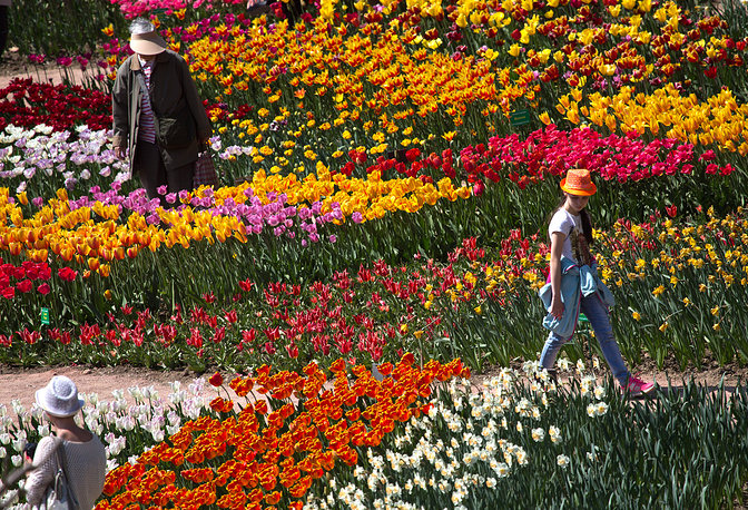 CRIMEA, RUSSIA - APRIL 13, 2018: People attend the opening of the Parade of Tulips displaying about 80,000 flowers of over 250 tulip types at the Nikitsky Botanical Garden in the city of Yalta. Sergei Malgavko/TASS Ðîññèÿ. ßëòà. 13 àïðåëÿ 2018. Âî âðåìÿ îòêðûòèÿ "Ïàðàäà òþëüïàíîâ" â Íèêèòñêîì áîòàíè÷åñêîì ñàäó. Íà âûñòàâêå ïðåäñòàâëåíû 80 000 öâåòîâ èç áîëåå 250 ñîðòîâ òþëüïàíîâ. Ñåðãåé Ìàëüãàâêî/ÒÀÑÑ