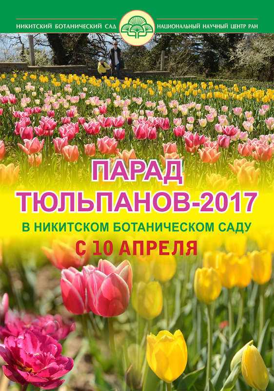 парад тюльпанов_А1_2__