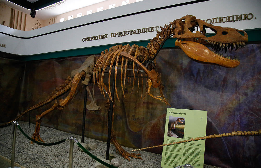 На выставке Динозавры в Крыму (2)
