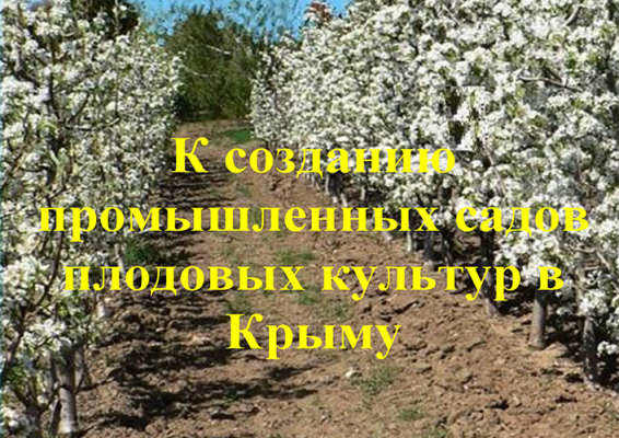 Книга К созданию промышленых садов плодовых культур в Крыму-ОБЛОЖКА_