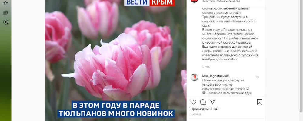 Вести-Крым в Инстаграмм