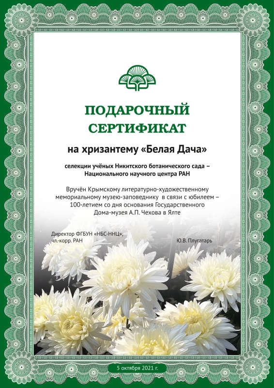 13-сертификат 2